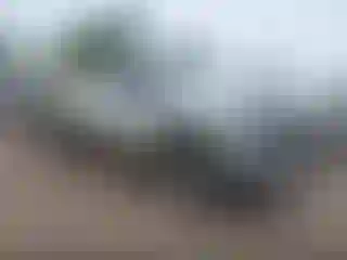 Vehicle Image- 2024 GMC Sierra