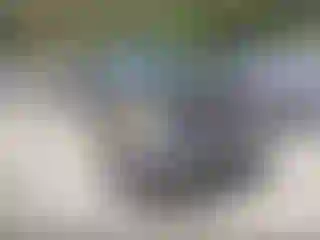 Vehicle Image- 2011 GMC Sierra