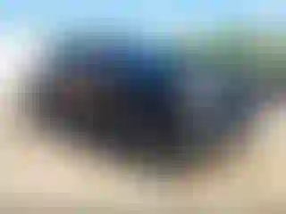 Vehicle Image- 2020 GMC Sierra