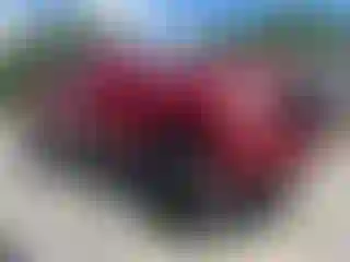Vehicle Image- 2020 GMC Sierra