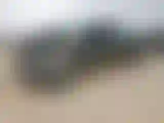 Vehicle Image- 2024 GMC Sierra