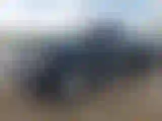 Vehicle Image- 2020 GMC Sierra