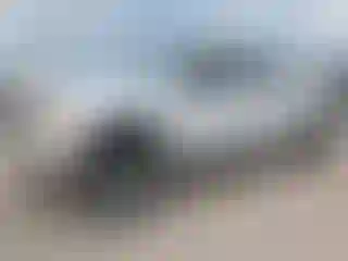 Vehicle Image- 2010 GMC Sierra