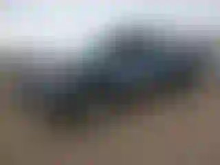 Vehicle Image- 2010 GMC Sierra