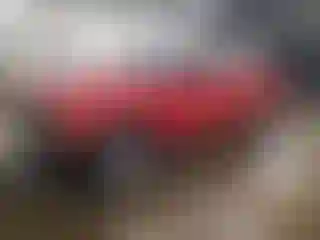 Vehicle Image- 2000 GMC Sonoma
