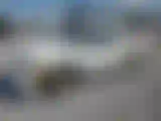 Vehicle Image- 2003 GMC Sonoma