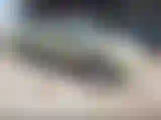 Vehicle Image- 2000 GMC Sonoma