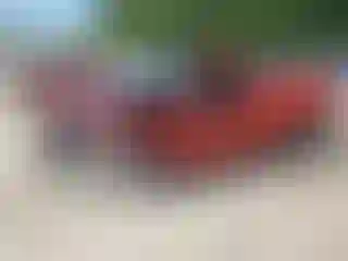 Vehicle Image- 1996 GMC Sierra