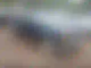 Vehicle Image- 1996 GMC Sierra