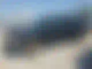 Vehicle Image- 2008 GMC Sierra