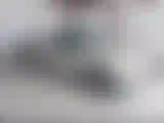 Vehicle Image- 2004 GMC Sierra