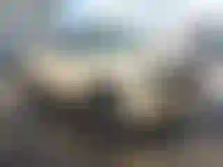 Vehicle Image- 2000 GMC Sierra