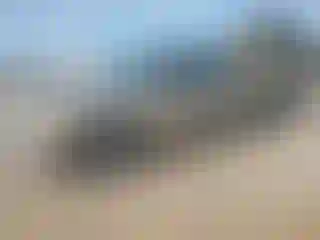 Vehicle Image- 2004 GMC Sierra