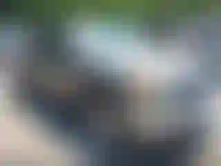 Vehicle Image- 2006 GMC Sierra