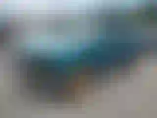 Vehicle Image- 1994 GMC Sierra