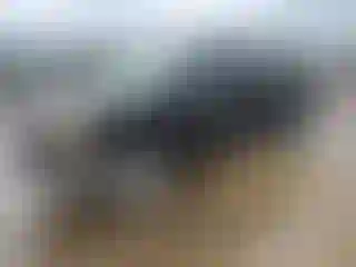 Vehicle Image- 1999 GMC Sierra