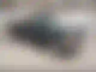 Vehicle Image- 2002 GMC Sierra