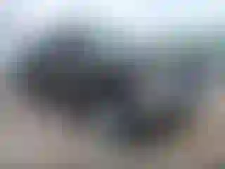 Vehicle Image- 2007 GMC Sierra