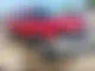 Vehicle Image- 2005 GMC Sierra