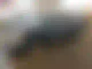 Vehicle Image- 2006 GMC Sierra