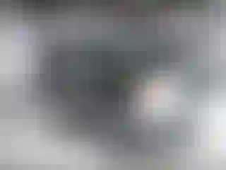 Vehicle Image- 2008 GMC Sierra