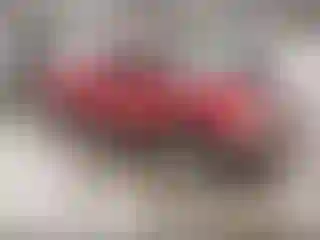 Vehicle Image- 2008 GMC Sierra