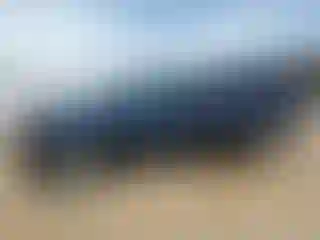 Vehicle Image- 1998 GMC Sierra