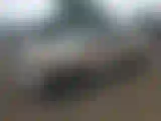 Vehicle Image- 1999 GMC Sierra