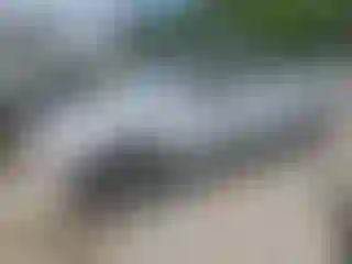 Vehicle Image- 2001 GMC Sierra