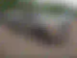 Vehicle Image- 2002 GMC Sierra