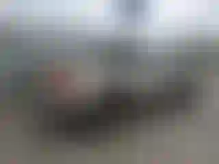 IMPORTOWO.pl