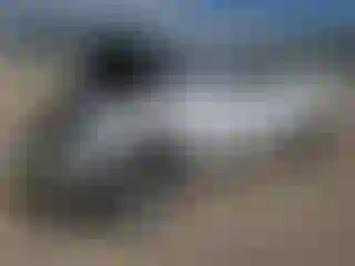 Vehicle Image- 2000 GMC Sierra