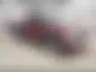Vehicle Image- 2006 GMC Sierra