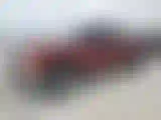 Vehicle Image- 2009 GMC Sierra