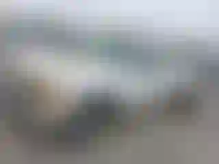 Vehicle Image- 1994 GMC Sierra