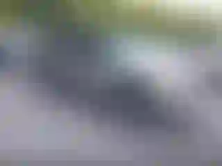 Vehicle Image- 2002 GMC Sierra