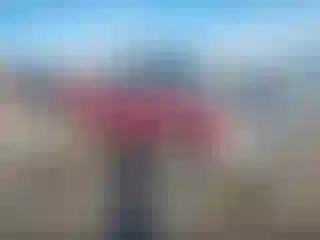 Vehicle Image- 1991 GMC Sierra