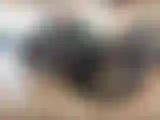 Vehicle Image- 2000 GMC Sierra