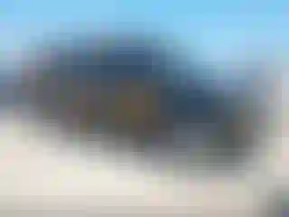 Vehicle Image- 2004 GMC Savana