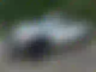 Vehicle Image- 2005 GMC Sierra