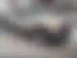 Vehicle Image- 2004 GMC Sierra