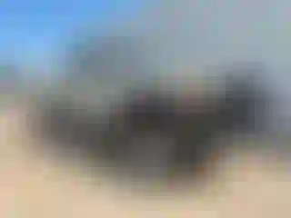 Vehicle Image- 2002 GMC Sierra