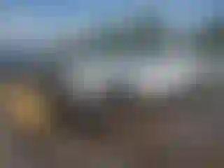 Vehicle Image- 2004 GMC Sierra
