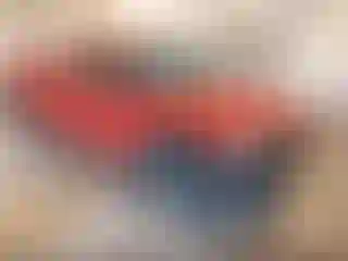 Vehicle Image- 2004 GMC Sierra