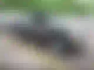Vehicle Image- 2004 GMC Sierra