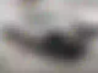Vehicle Image- 1997 GMC Sierra