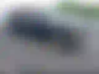 Vehicle Image- 1998 GMC Sierra