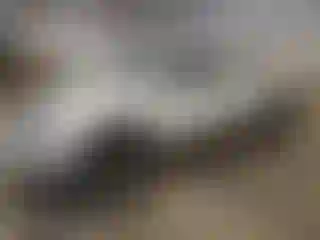 Vehicle Image- 2009 GMC Sierra