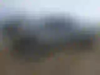 Vehicle Image- 2006 GMC Sierra