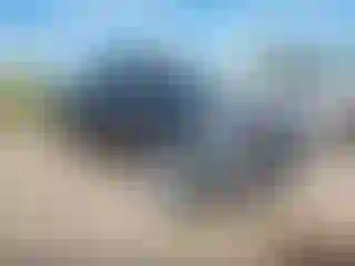 Vehicle Image- 2022 GMC Sierra